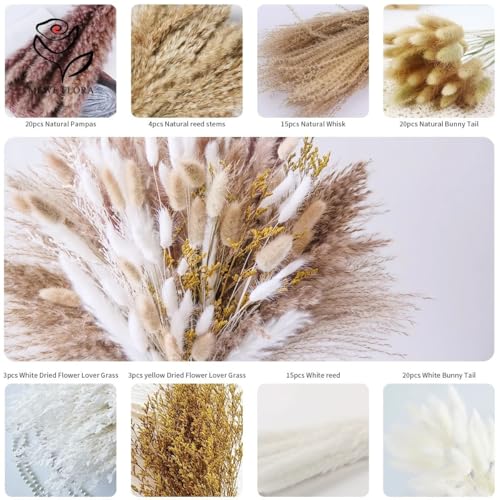 Pampas Grass Large Natural Pampas Bunny Rabbit Tails Dried Bouquet miniatura 4