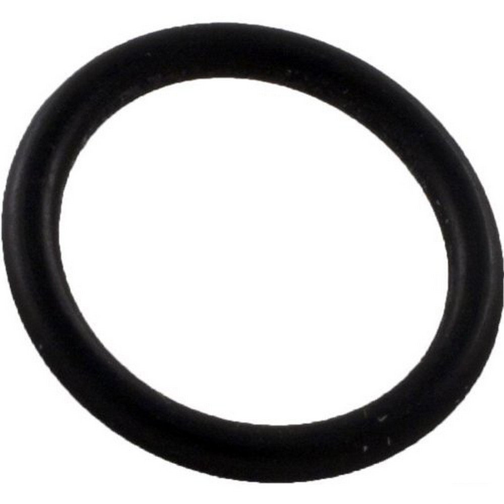 Pentair 39010000 Impeller Lock O-Ring Replacement American Products Ultra-flow Pump