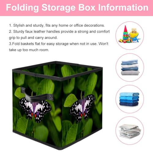 Boîte pliable papillon vert pour placard et chambre à coucher ordonnée - 4