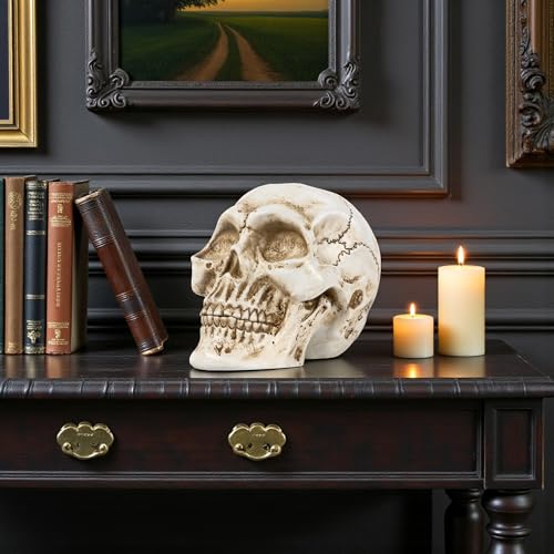 Estatua de Calavera de Resina para Decoración Hogar miniatura 5
