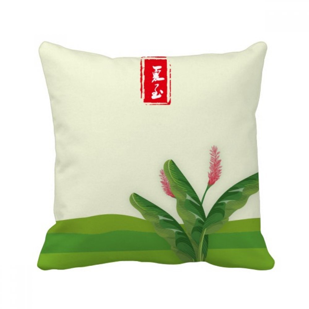 Coussin de Solstice Juin 40x40cm oreiller carré décoratif multicolore pour canapé salon