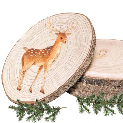 4 Stück Holzscheiben, Baumscheiben 20cm Baumscheibe Holzplatte Runde...