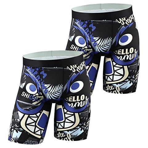 Akkad Kuti Mens Compression Shorts Novelty Boxer Briefs Funny Graphic Sports Underwear Active Running Tights, Lion X2, X-Large Cover