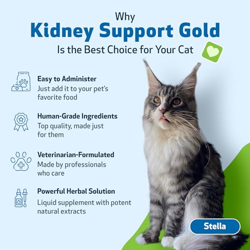 Pet Wellbeing Kidney Support Gold for Cats VetFormulated Supports