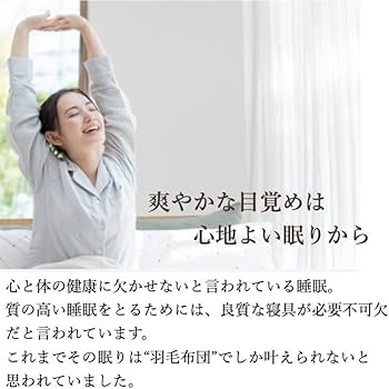 Amazon|テイジン 防ダニ 2枚合わせ 掛け布団 ミクロガード Amazon|テイジン 防ダニ 2枚合わせ 掛け布団 ミクロガード