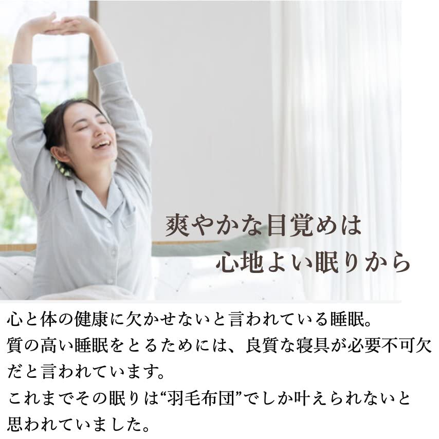 ミクロガード スタンダード 2枚合わせ掛け布団［シングル］ベージュ／テイジン Amazon｜テイジン 防ダニ 2枚合わせ 掛け布団 ミクロガード