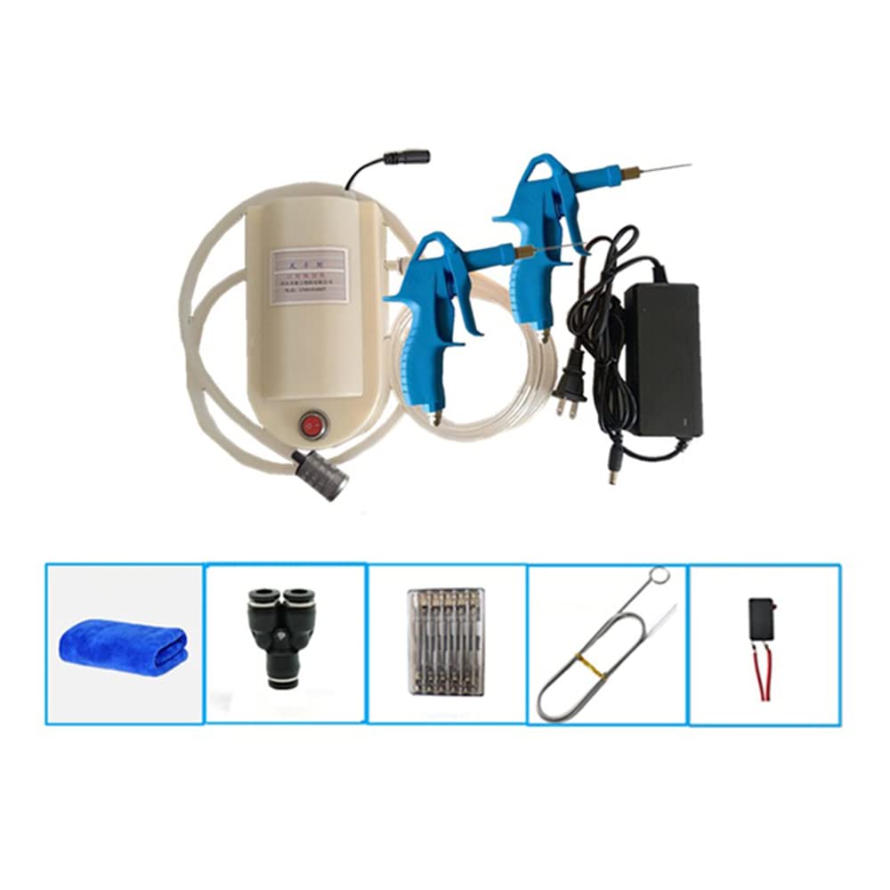 Siringa per Spezie, Siringa per Marinatura, Siringa Elettrica, Siringa per Barbecue, Pistola per La Lavorazione Della Carne in Acciaio Inossidabile AC 100-240V 50W (Doppia pistola)