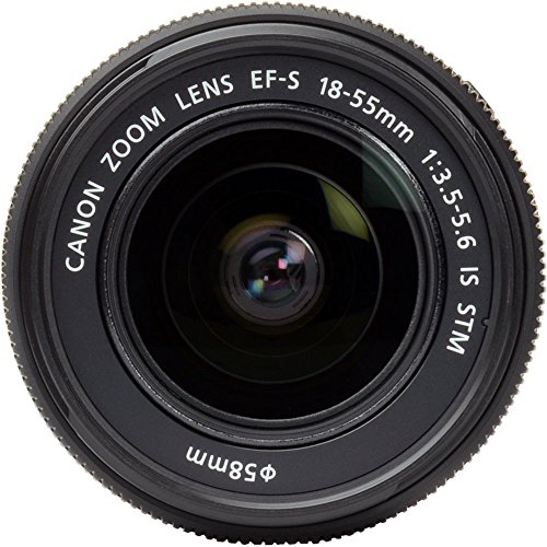Canon EF-S 18-55mm f/3.5-5.6 is STM Lens + Filter Set + Close Up Macro Filters + Wide Angle Lens + Telephoto Lens + Pro Accessory Bundle - 18-55mm STM: International Version (No Warranty)