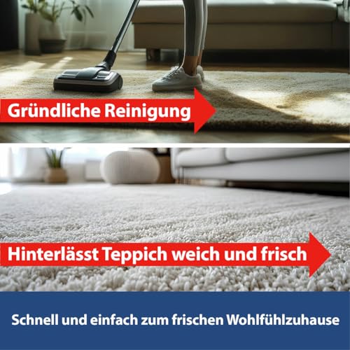 MELLERUD Teppich Spezialreiniger Aktivschaum | 1 x 400 ml | Teppichreiniger für Schmutz & Flecken | zur gründlichen Schmutzentfernung | Geruchsbeseitigung