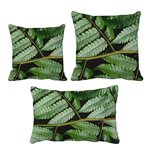 Housse de coussin plantes et feuilles lavable pour canapé - 2