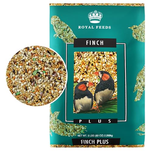 JEDDS Fine Avian & Pet Products Finch Plus 5 Lbs, Nut Free, No Waste Bird Seed Mix, Birdseed for Finches and Small Birds, Premium Finch Food, Bird Food, Bird Feed for Energy, Growth and Digestion