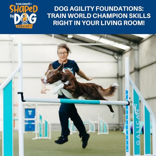 Dog Agility Foundations: Train World Champion Skills Right In Your Living Room! #311 cover art