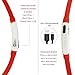 ITERY Dog Collar, Led USB Rechargeable Pet Safety Collar Waterproof Light up Adjustable Flashing Collar (Red)