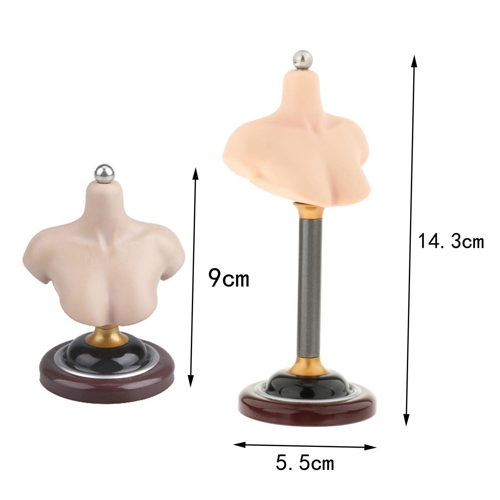 Amazon | 1/6男性女性バストスタンドヘッドフィギュアモデルハーフ