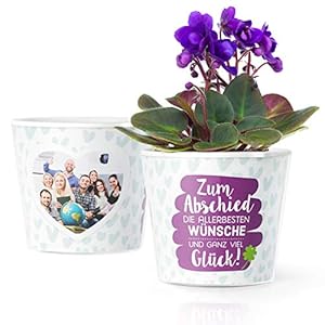 Abschiedsgeschenk Blumentopf (ø16cm) | Geschenk für Kollegin oder Kollege zur Verabschiedung oder Jobwechsel mit…