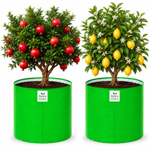 Image of Grow Bag UV Protected 260 GSM | HDPE Grow Bags for Plants | Heavy Duty Green Garden Plant Grow Bag with Drainage Holes | Reusable Vegetable Grow Bag for Terrace Gardening (2, 22X22)