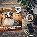 Australian Shepherd Calendar 2026 – 16-Month Dog Breed Wall Calendar by MegaCalendars – Large Daily Blocks, Thick No-Bleed Paper, Made in USA