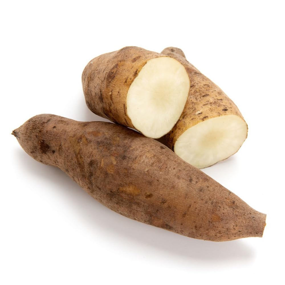 Yacon Samen - 10 Stück Exotische Pflanzensamen Für Garten & Balkon