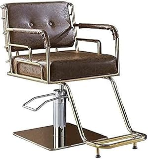 Salon Chair Hydraulic Chair for Business or Home, Hair Salon Chair Styling Barber Chair Hydraulic Salon Chair, Salon Chair Barber Chair Styling Chair (420 lbs) (Color : Black, Size : 2) (Brown 1) con