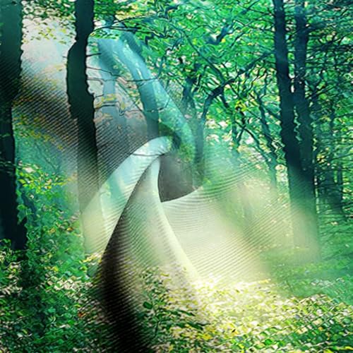 Grand drapé mural vert forêt 240x220 pour masquer un mur vide
