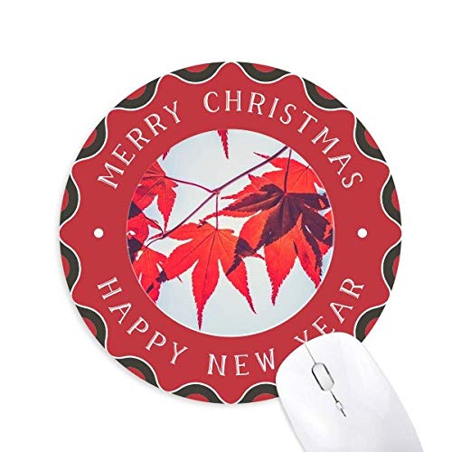 ԂJGf̗t̐A̎R̎ʐ^ ~`S̃NX}X}EXpbh