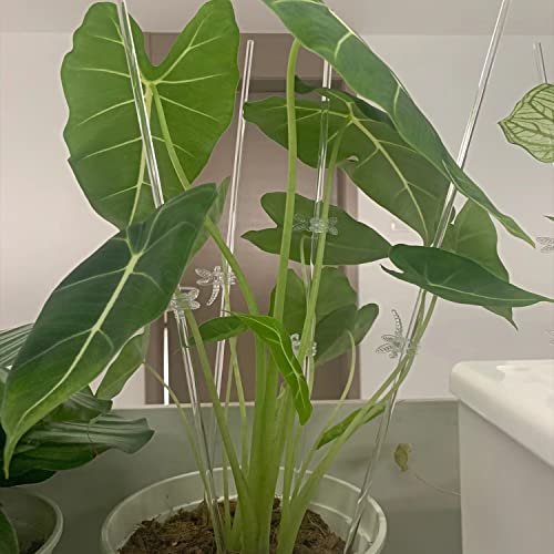Nkiy Quen16Pcs 15.8Inch Acrylic Clear Orchid Stakes And Clips Set Transparent Garden Single Plant Stem Flower Support(16Pcs+32Clips) #TOP2