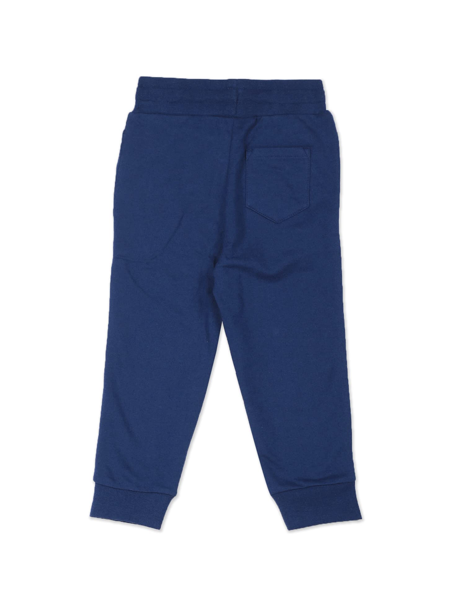 US Polo Assn. Knitted Cotton Joggers for Boys - Mid Rise, Regular Fit, Brand Printed Joggers for Kids - 12T, Blue