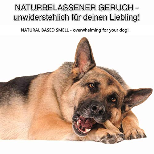 DOGBOSS Kauknochen mit Cistus Incanus (Zistrose) aus 100% natürlichen Zutaten speziell für Welpen & Seniorhunde in verschiedenen Größen und Geschmack (5er mit Cistus Incanus und Ente & Apfel, 12 cm)