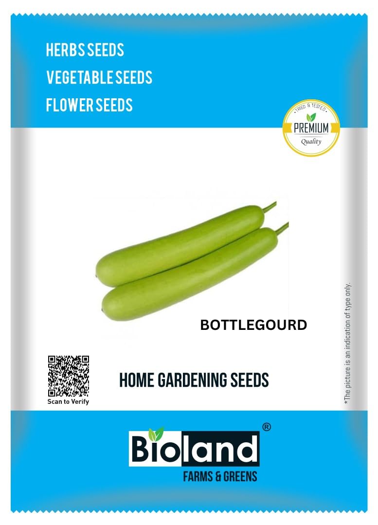 BIOLAND Bottle Gourd Seeds for Home Gardening | Lauki Beej for Kitchen Garden | Fresh Organic Summer Vegetables Seed (B0CG5WHTHG) Amazon Price History, Amazon Price Tracker