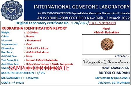 4 Mukhi Rudraksha Original Certified Nepali Char Mukhi चार मुखी रुद्राक्ष 1