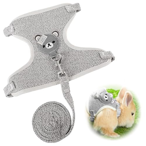 XURJUMI Laisse et harnais réglable pour lapin nain – accessoires, harnais, colliers et vaisselle pour petits animaux