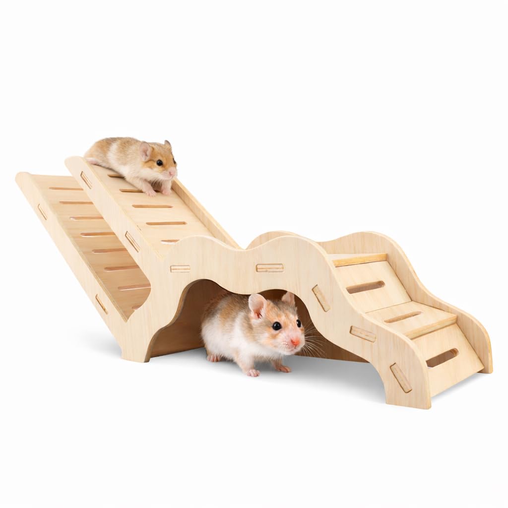 Syrian Hamster Explorer Set - Snap-Together Wooden Burrow with Panoramic Window Decorative Landscaping Digging Peeping Hide Underground Fun