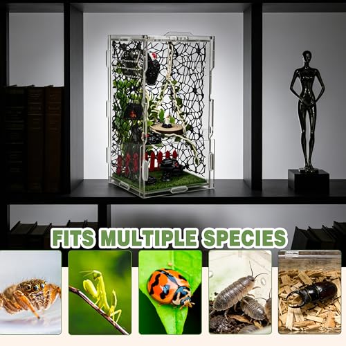 Image of Jumping Spider Enclosure Kit 22pcs Terrarium with Decor