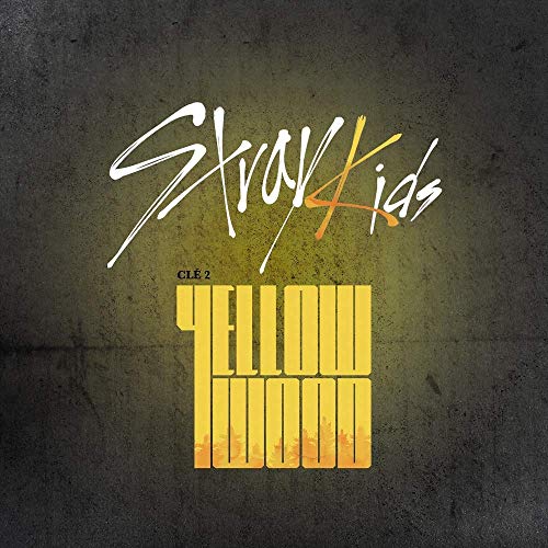 Stray Kids - Clé 2 : Yellow Wood (Special Album) [Random ver.] CD+Photobook+3QR Photocards+Pre-Order Benefit+Folded Poster+Double Side Extra Photocards Set