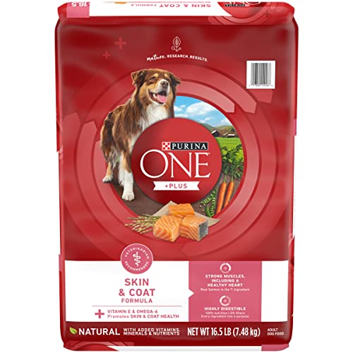 Purina One smartblend empfindliche Systeme Formel Trockenfutter für Hunde – (1) 16,5 Lb. Tasche
