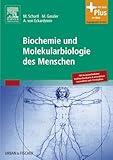 molekularbiologie nc  Biochemie und Molekularbiologie des Menschen