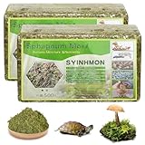 Sphagnum Musgo para plantas, hogar cultivo de flores