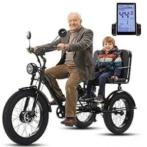 WuXQuuzlh 24 Zoll Dreirad für Erwachsene Elektro, Dreirad Erwachsene mit Breiten Reifen, 20-Zoll-Winterreifen Hinten, LCD-Display, Max 150kg Tragfähigkeit für Senioren Alltag Einkauf A