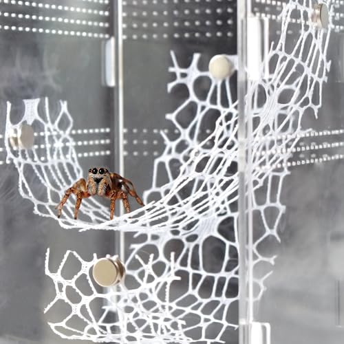 JJMOLLE Jumping Spider Enclosure Accessories, 4 PCS Jumping Spider Netting with Magnets, Jumping Spider Habitat Accessories, Tarantula Praying Mantis Enclosure Accessories (4pcs White)