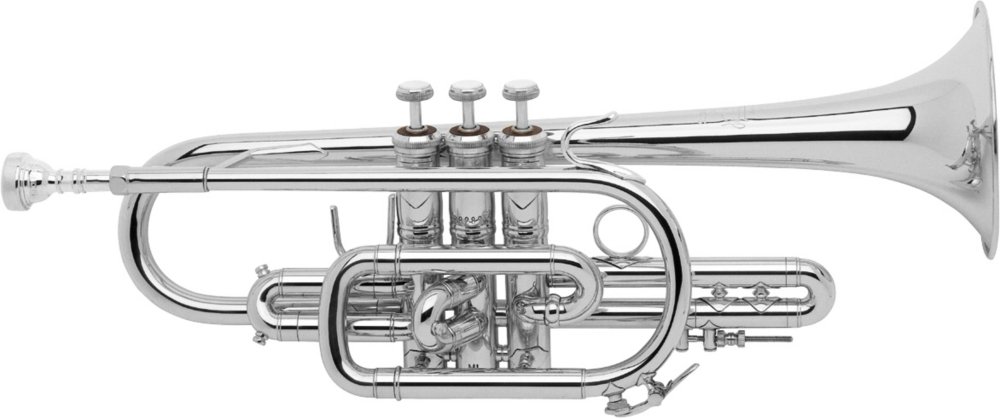 Bach Cornet (181SML)