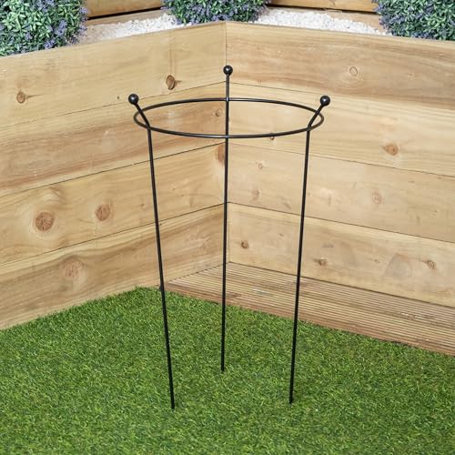 Samuel ALEXANDER Heavy Duty Black Metal Steel Herbaceous Garden Plant Support Ring Small 60cm x 35cm (Pack 1)