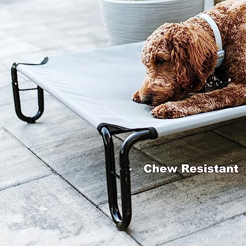 Bestvida Elevated Dog Bed (Large, Grey) #TOP4