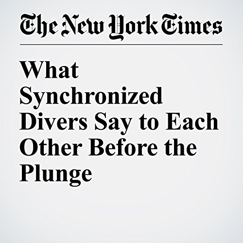 What Synchronized Divers Say to Each Other Before the Plunge cover art