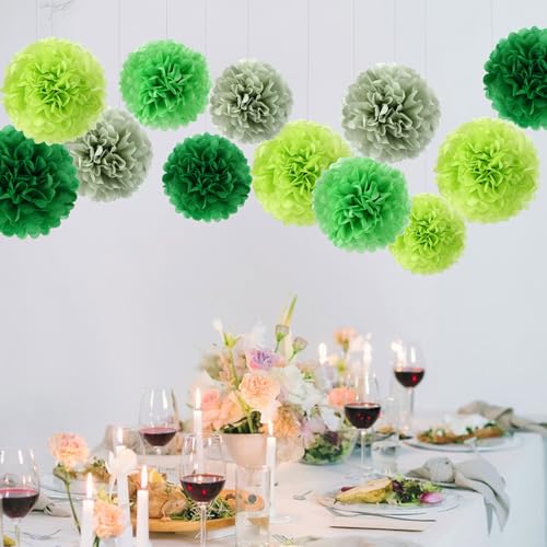 Image of BestoFun 16 PCS Green Party Decorations Tissue Paper Flowers Pom Poms Decorations for Girl Groovy Birthday Baby Shower Wedding Bachelorette Room Wall Hanging Decor