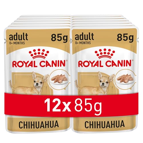 Royal Canin Chihuahua Adult | 12 x 85 g | Nassfutter für ausgewachsene Chihuahuas | Zur Unterstützung der Stuhlqualität und der Zahngesundheit | Hohe Akzeptanz 1
