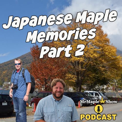 Japanese Maple Memories Part 2: Stories, Trees, and Time | MrMaple Show Podcast