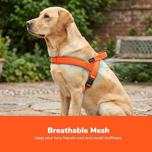 Image of Didog No Pull Dog Harness for Large Dogs, Breathable Mesh Padded, Orange, L | Quick Fit, Easy On and Off, Lightweight, Reflective Vest Harness for Night Safty, Easy for Walking and Training, Chest 26-32 inch