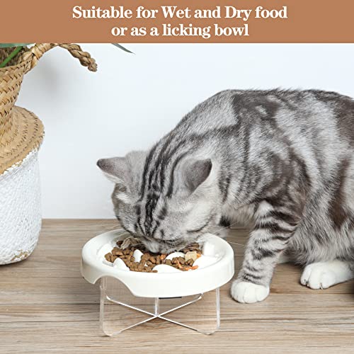 Msbc Raised Cat Slow Feeder Bowl With Acrylic Stand, Elevated Melamine Slow Feed Cat Dish, Non-Slip Pet Puzzle Feeder For Slow Healthy Eating, Anti-Choking Prevents Obesity Pet Bowl For Kitty, Kitten #TOP6