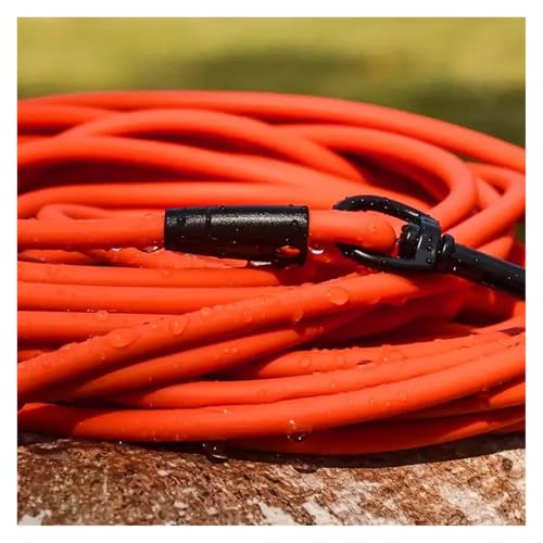Dog Leash Used Outdoors