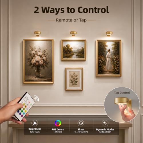 EZVALO Picture Lights for Wall, 2000mAh Rechargeable Battery Magnetic Poster Lights with 3 Color Temps & 12 RGB, Remote Dimmable Timer Painting Light, Wall Decor Light for Art Display, Frame (3 Pack)